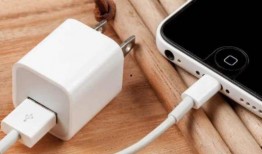 苹果不送充电器最新爆料,不送充电器，环保还是省成本？