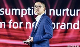 阿里和蒋凡最新爆料视频,揭秘与真相背后的权力博弈