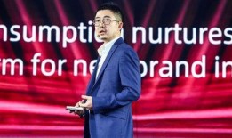 阿里和蒋凡最新爆料视频,揭秘与真相背后的权力博弈