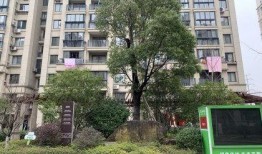 施家园最新爆料,揭秘娱乐圈惊天秘密