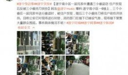 宁南最新事件爆料信息网,揭秘真相，追踪热点动态