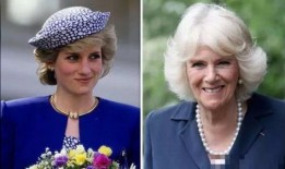 安妮公主最新爆料视频,最新爆料视频深度解析