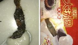 汤圆最新爆料图片,独家揭秘幕后真相