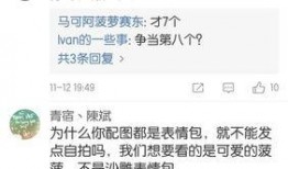 王菠萝事件最新爆料,最新爆料揭露惊人内幕