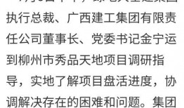 柳州烂尾爆料最新消息,揭秘背后真相与后续处理措施
