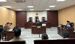 武汉法院爆料案件最新,惊天大案背后真相揭露