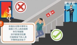 地铁逃生最新手册爆料图,最新手册爆料图解读逃生关键