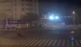 珠海餐饮爆料事件最新,揭露后厨黑幕，食品安全再引关注