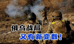 俄乌战局最新爆料,战火升级，局势紧张再掀波澜