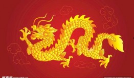 爆料五爪金龙视频大全最新,最新视频大全带你领略神秘国宝风采