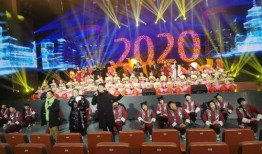 海城春晚最新爆料视频,精彩节目抢先看，年度盛宴即将开启！