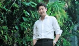 刘凯最新爆料,娱乐圈幕后真相大曝光